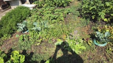 Beet4Vielfalt_2026-06-30_10.22.27.jpg