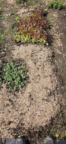 Beet1Vorbereitet 2026 05 19 10.37.30