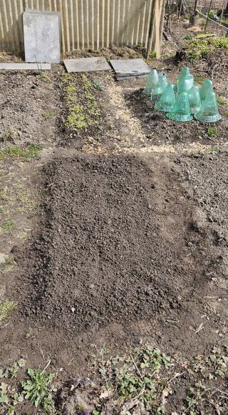 Beet4Umgestochen 20260404 113553