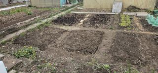 BeeteUebersicht2 20260410 143428