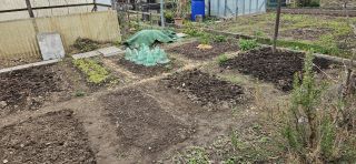 BeeteUebersicht 20260410 143439