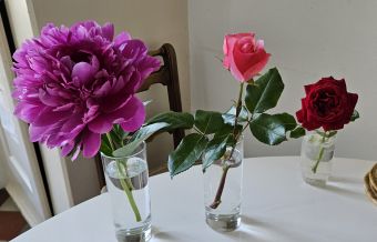 Blumen 2026 05 29 18.05.31