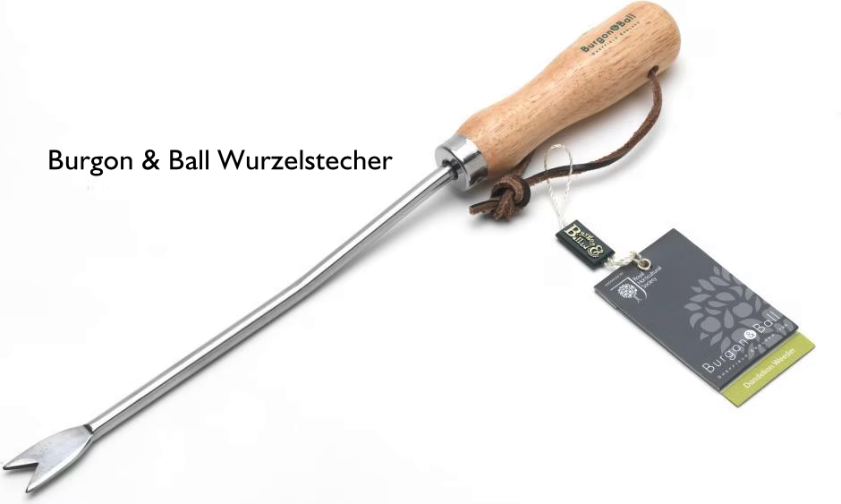 Burgon  Ball Wurzelstecher