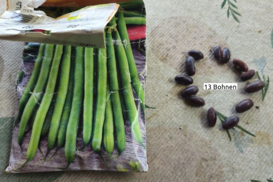 BuschbohnenVerpackung 2026 07 23 12.58.25