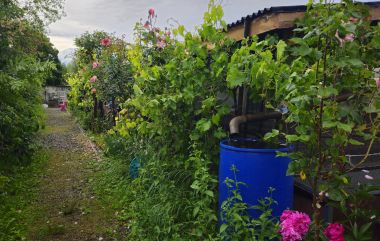 Hauptweg 2026 06 02 19.28.52