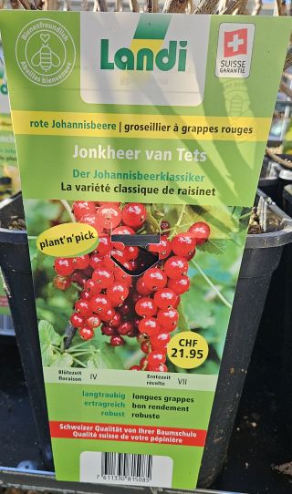 Johannisbeere 2026 02 24 15.12.43