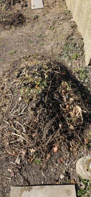 Beete Kompost 2026 03 05 17.17.46