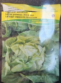 Kopfsalat 2026 03 19 14.32.02
