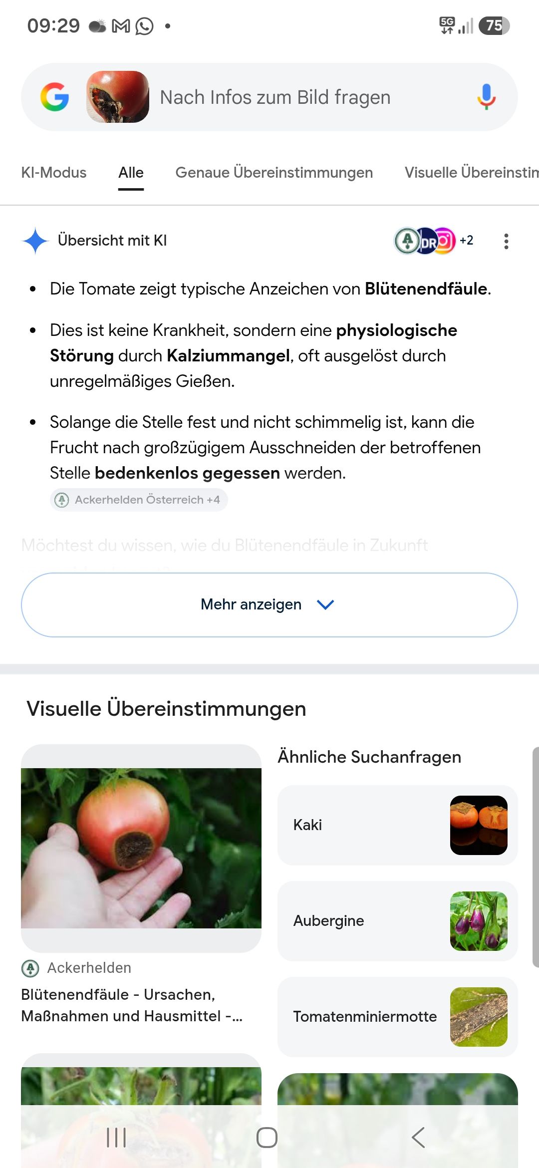 LocherInToamtenIrrtSichKI 2026 07 16 09.29.20