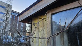 RebeVorneDurch 2026 02 26 16.23.51
