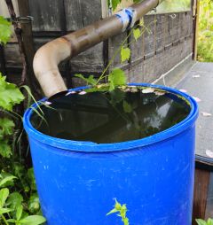 Regenwasserfass 2026 06 02 19.30.13