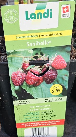 Sanibelle 2026 02 24 15.12.18