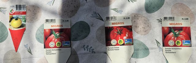 TomatenSetzlinge 20260409 110006