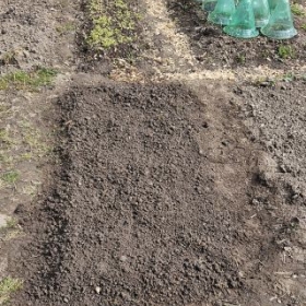 Beet4Umgestochen 20260404