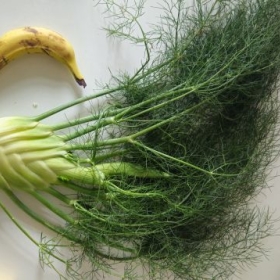 Fenchel230g 20260725