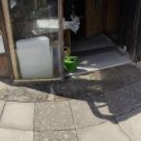 Platten 20260404