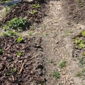 RindenmulchVerteilt 20260430