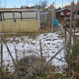 TreibhausRechteFlanke20260116